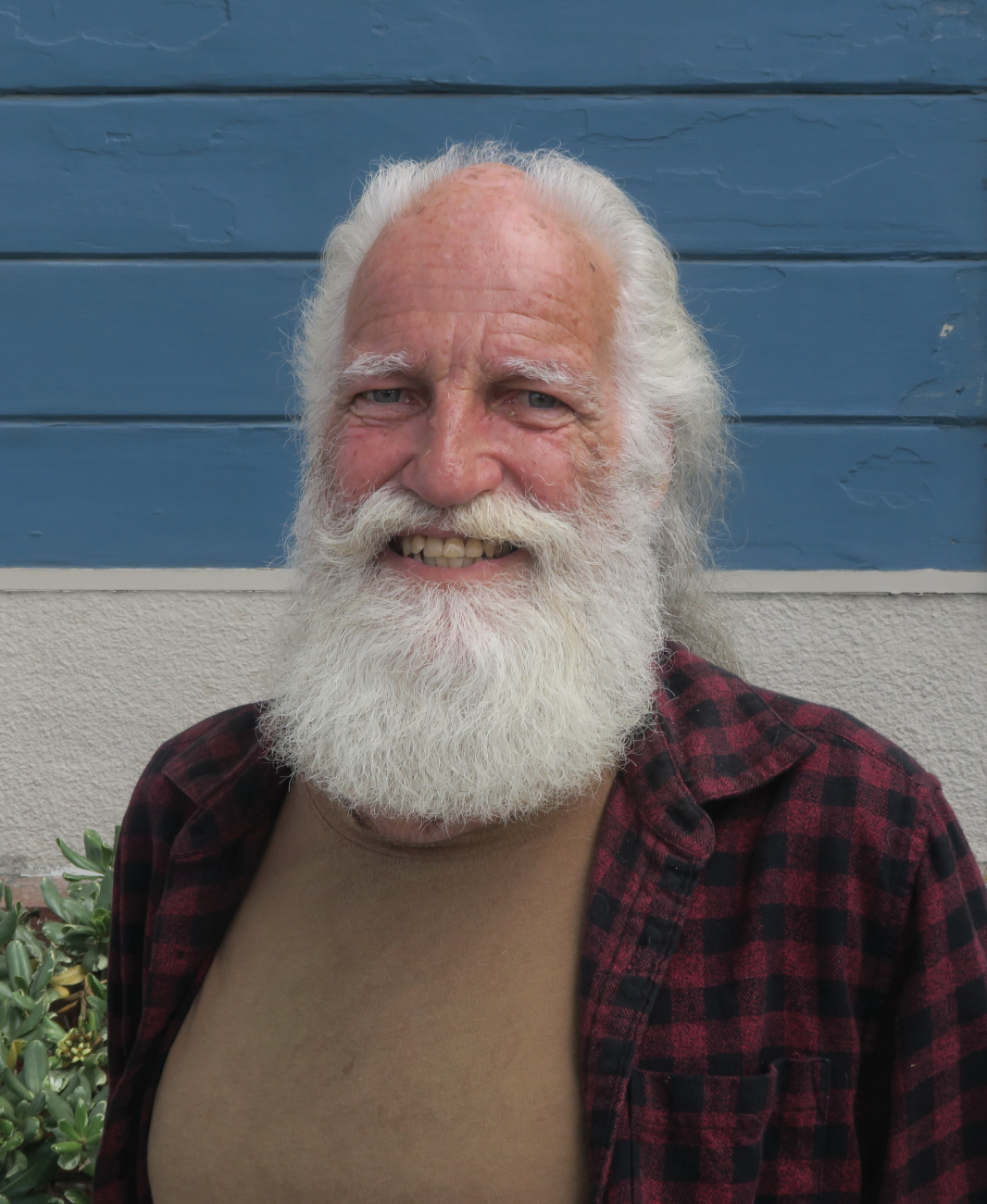 beards