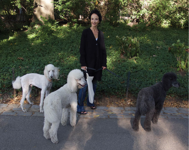 canines