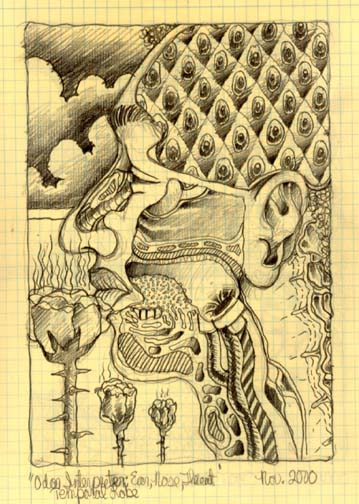 sketches