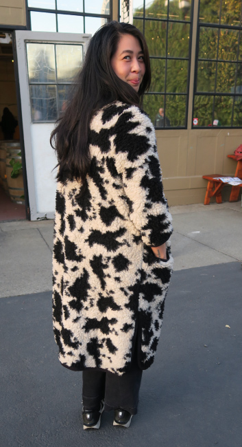 fashion