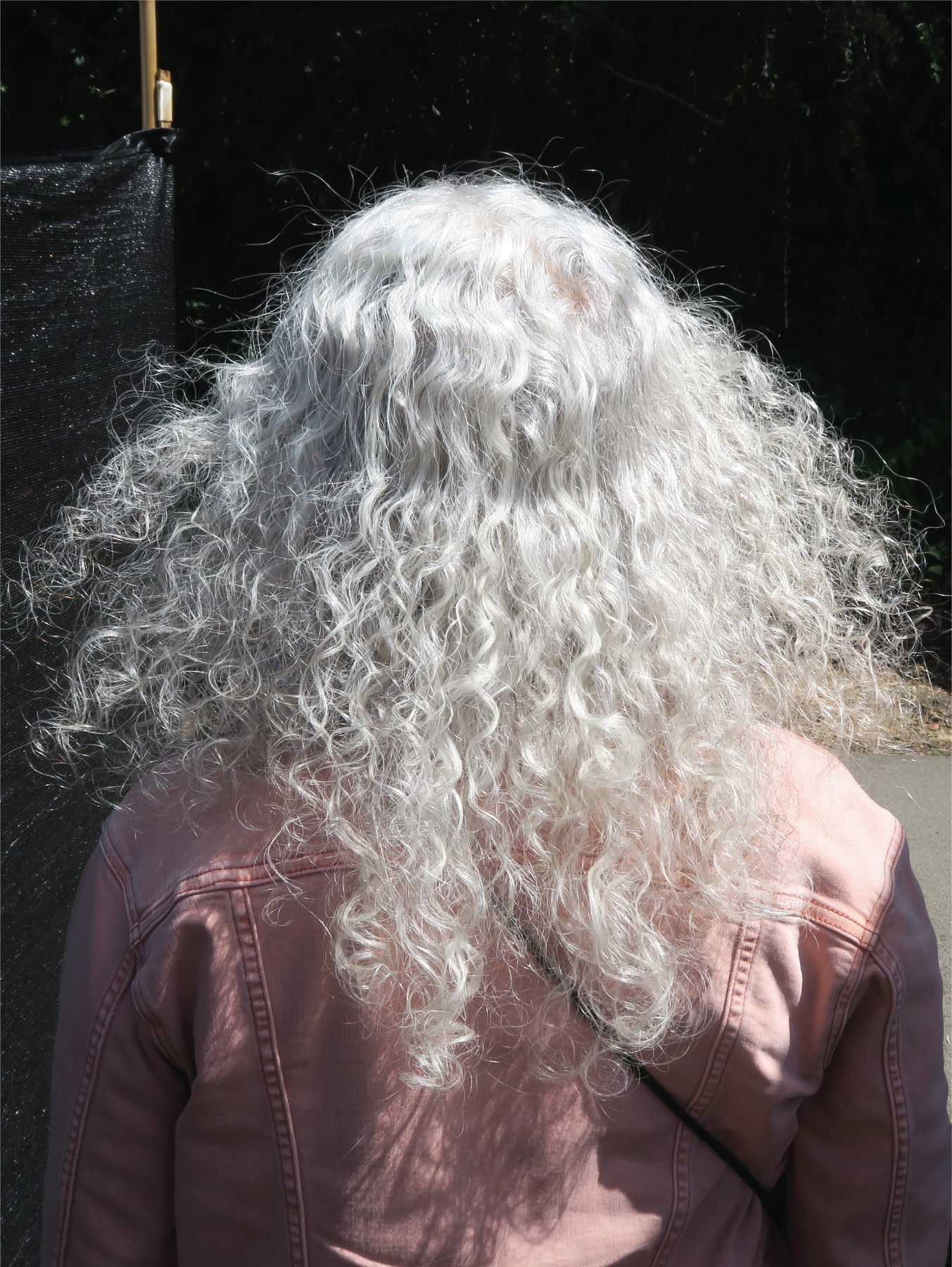 grayhair
