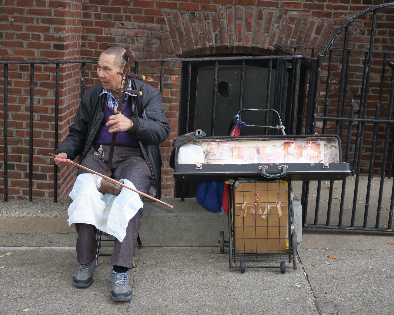 musicians