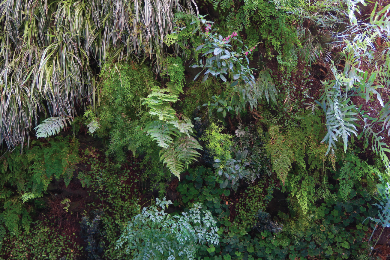 nature